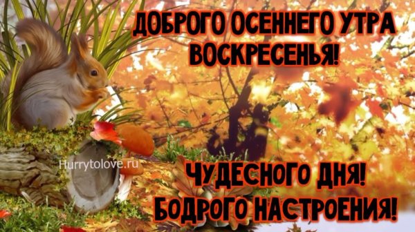 Доброе утро воскресенье осень