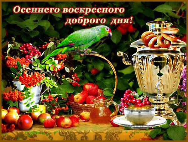 Доброго осеннего воскресного дня