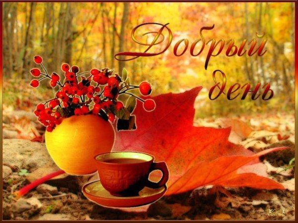 Доброго осеннего дня