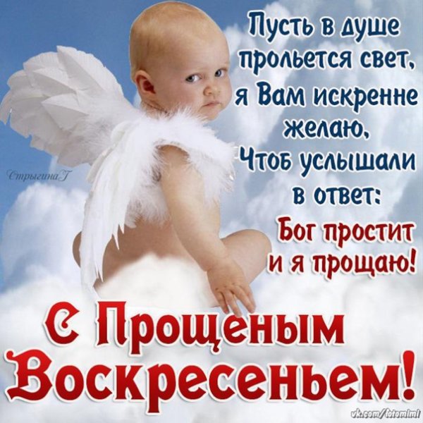 Прощенное воскресенье прикольные