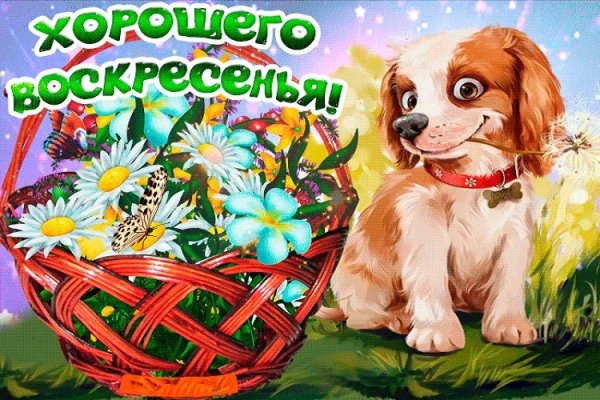 Открытки хорошего воскресенья