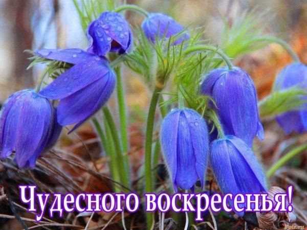 Душевных выходных