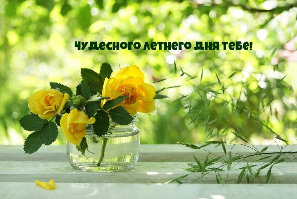 Солнечный цветок