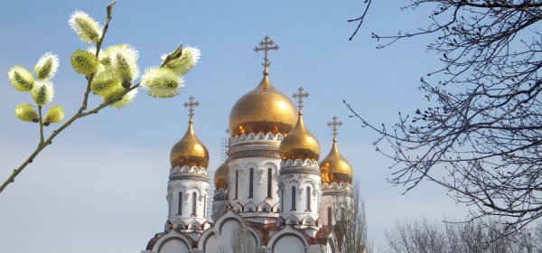 Фото пано. Вербное Воскресение