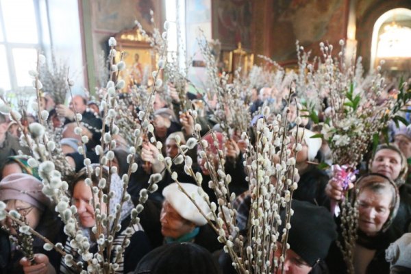 Вход Господень в Иерусалим пальмовые ветви