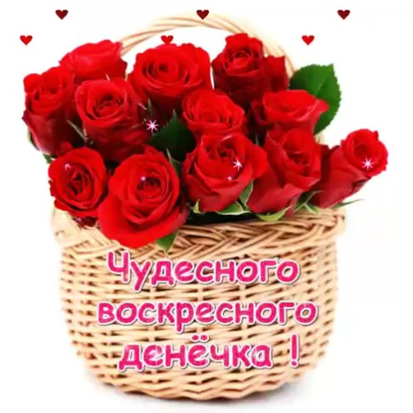 Отличного вам воскресного дня