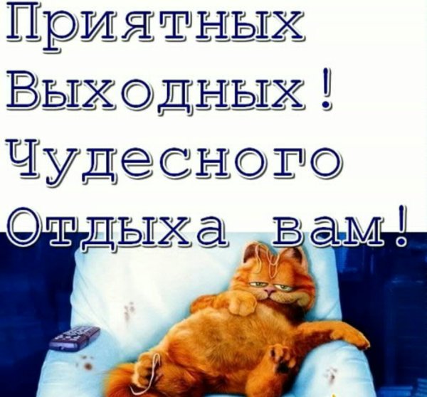 Фразы про выходные прикольные