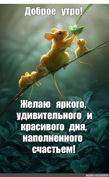 Настроение цитаты