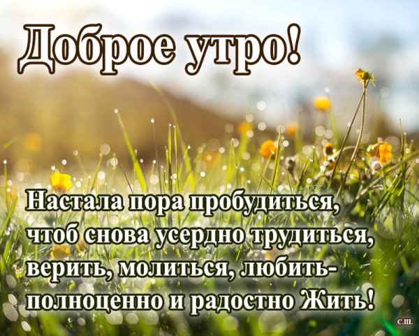 Просыпайтесь доброе утро