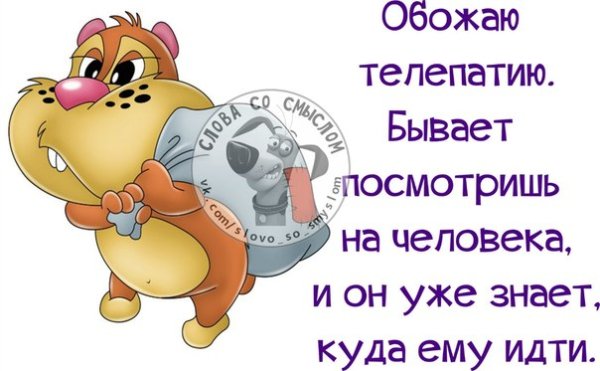 Воскресный позитив в прикольных картинках