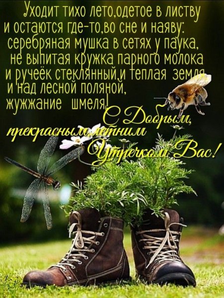 Добрые пожелания и высказывания