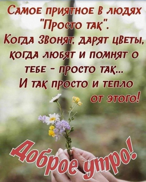 Добрые пожелания и высказывания