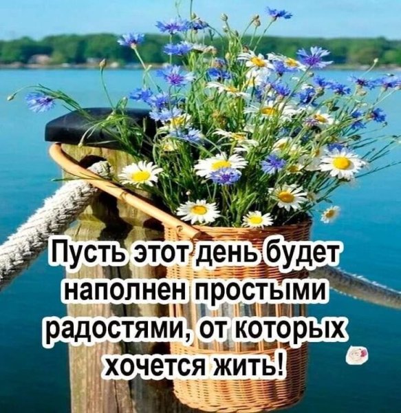 Счастья в новом дне
