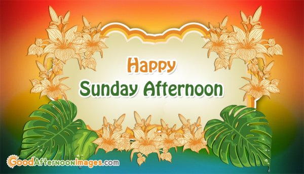 Happy Sunday afternoon