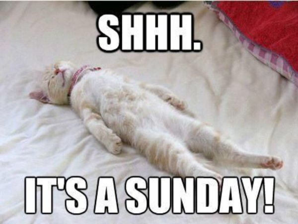 Good morning Sunday funny