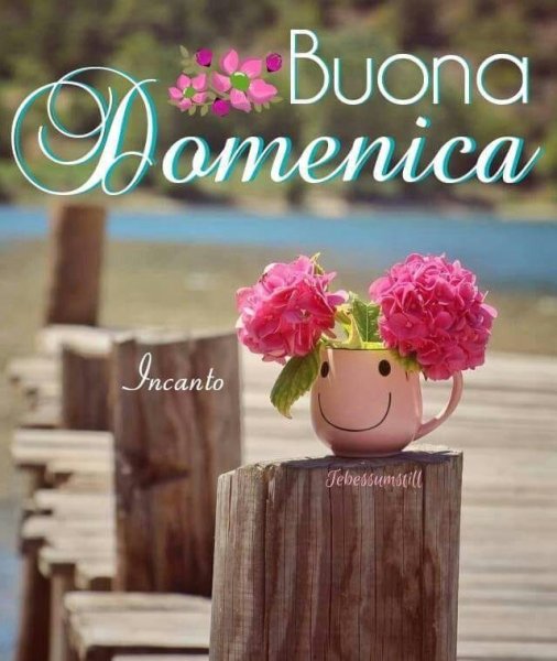Открытки buongiorno e buona domenica