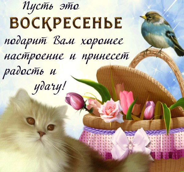 Пожелания на воскресенье