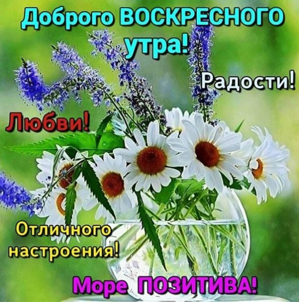 Пожелания с добрым воскресным утром
