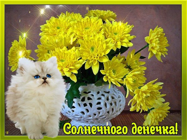 Доброго теплого денечка