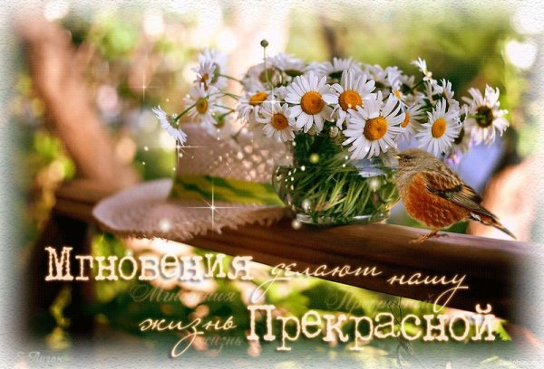 Радостных дней и прекрасных мгновений