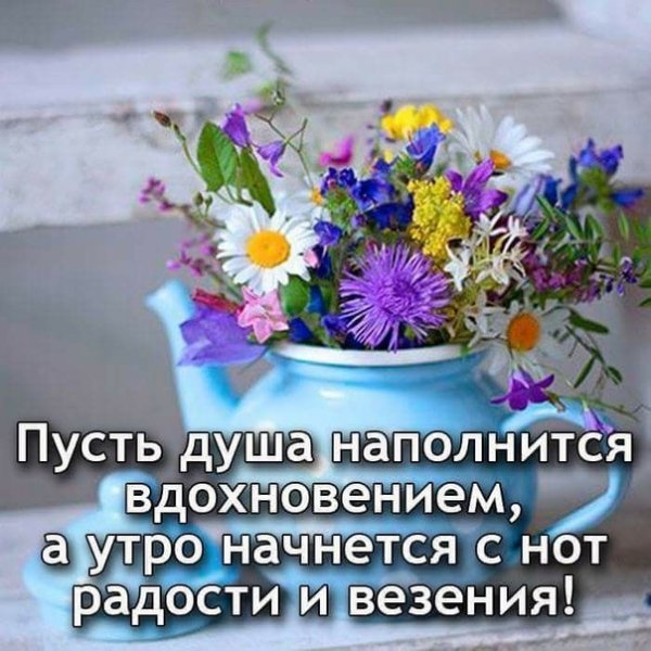 Утренние цветы с пожеланиями