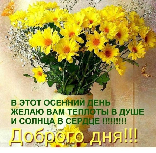 Солнечного дня пожелания