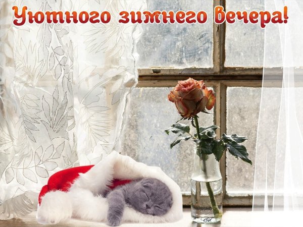 Уютного зимнего вечера с пожеланиями