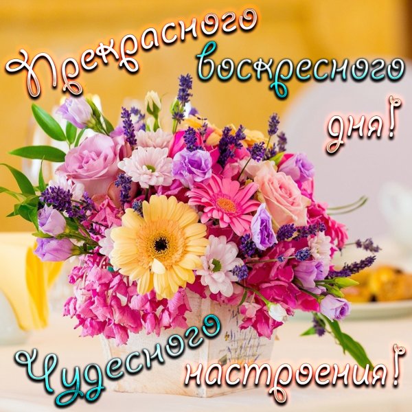 Открытки с добрым утром воскресенья