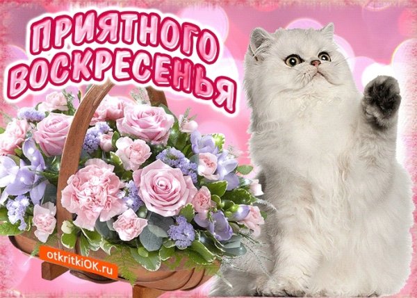 Открытки с воскресеньем