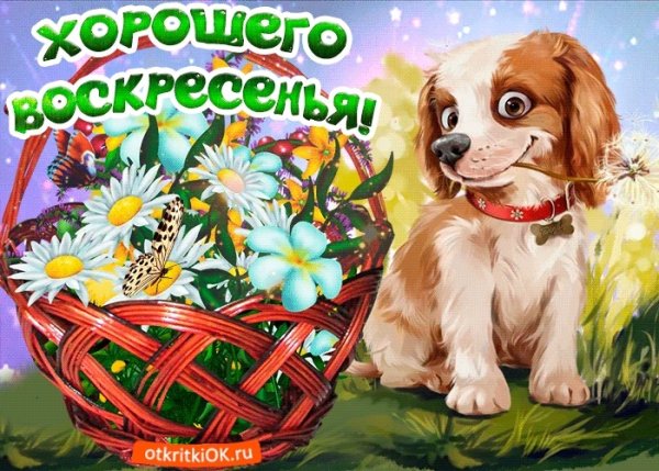 Открытки хорошего воскресенья