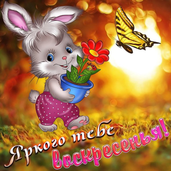 Открытки с добрым воскресным утром