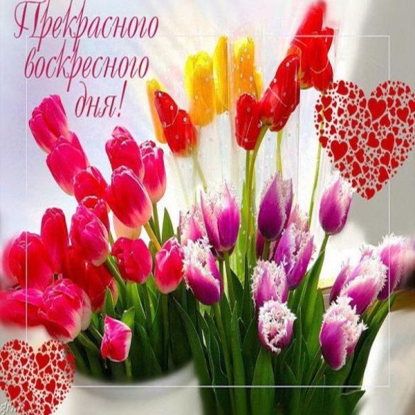 Открытки хорошего воскресенья