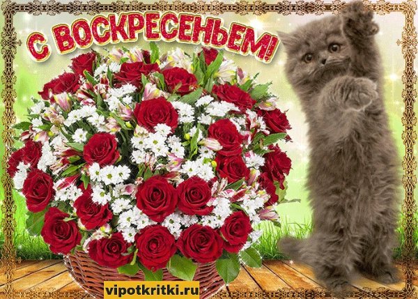 Открытки с добрым воскресным утром
