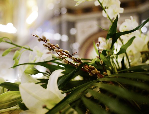 Пальмовые ветви на Вербное воскресенье