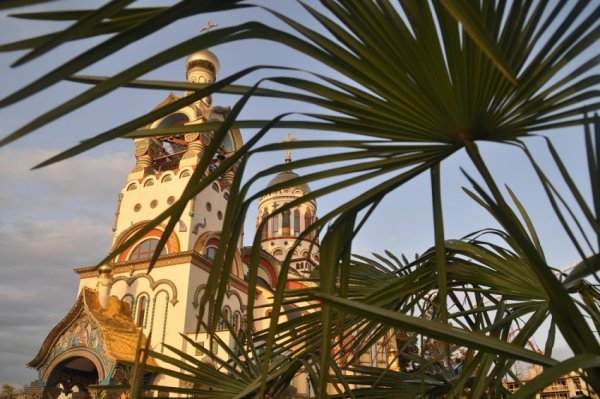 Израиль храм пальмы