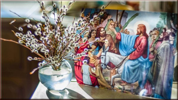 Вход Господа в Иерусалим Вербное воскресенье