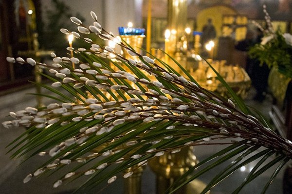 Верба вход Господень в Иерусалим