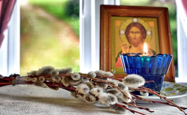 Вербочки на Вербное воскресенье