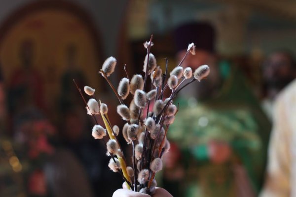 Цвета на праздник, Вербное воскресенье