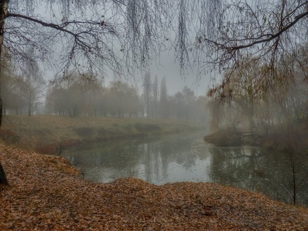 Счастья в дождливый день