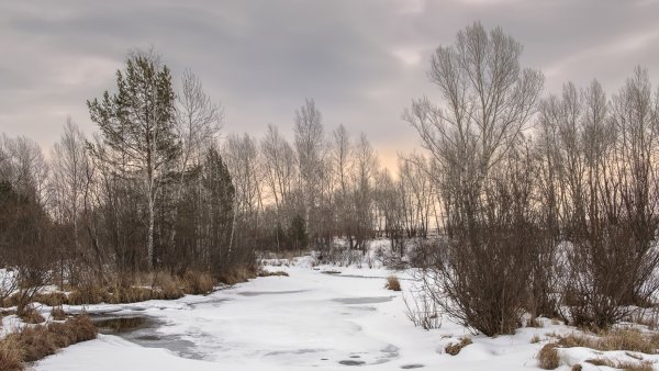 Осень окно кофе