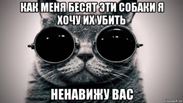 Я уеду жить в Лондон кот