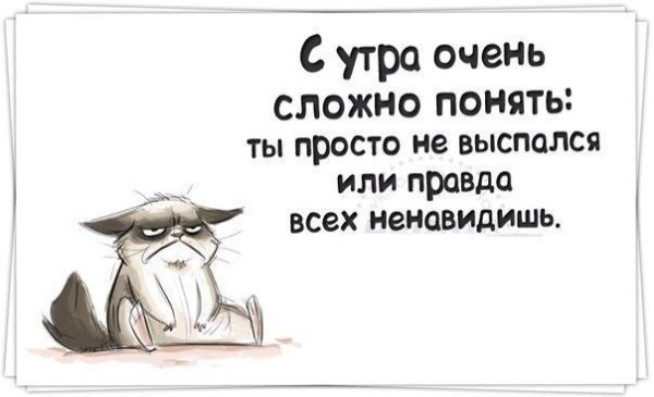 С прощенным воскресеньем смешные