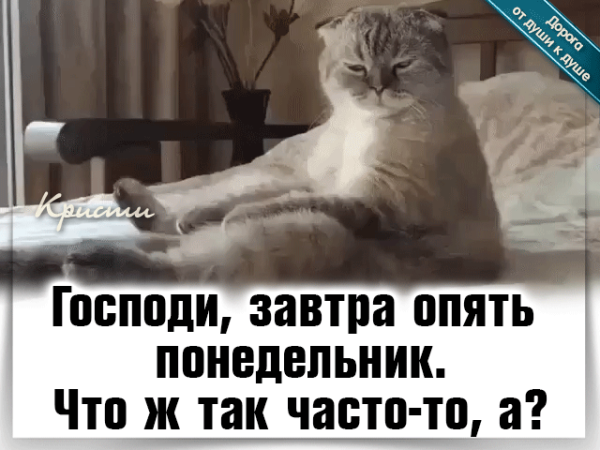 Воскресенье Мем