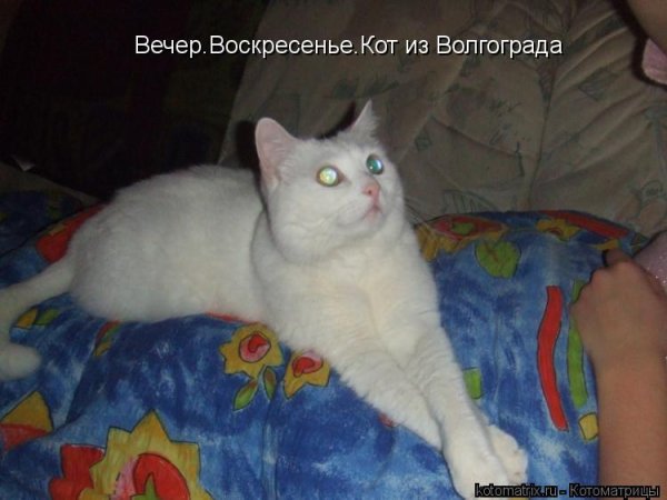 Ненавижу свою работу