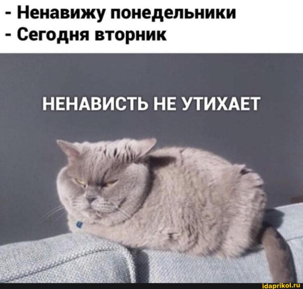 Понедельник приколы