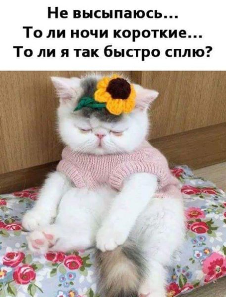 Утро воскресенья
