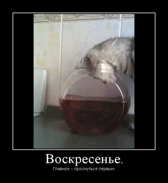 Выходные картинки прикольные