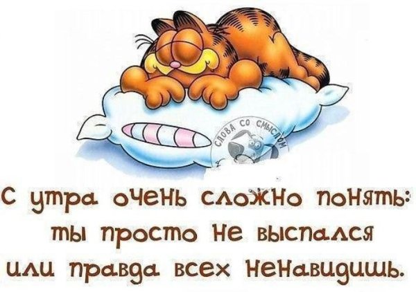В воскресенье не будить добрых Утров не желать
