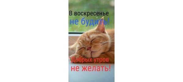 Доброе утро воскресенье прикольные